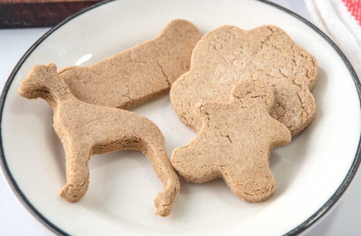 homemade gingerbread dog treats on a white plate.