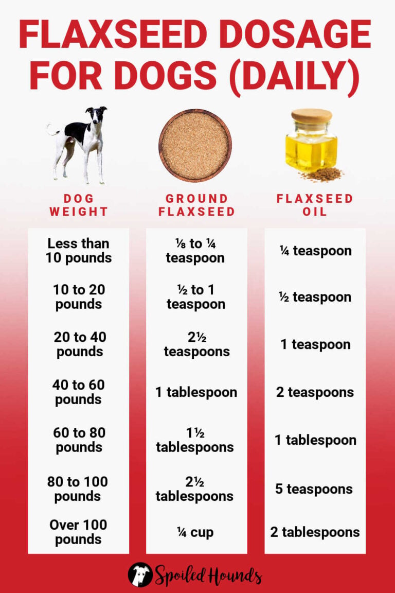 Can Dogs Eat Flaxseed? What You Need To Know