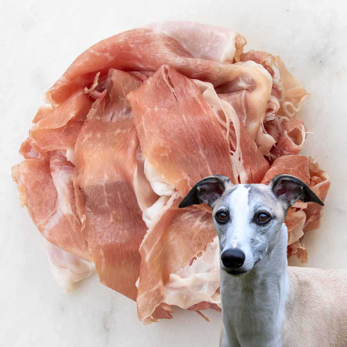 a dog in front of some prosciutto.