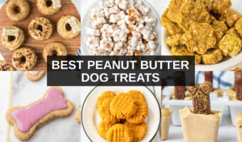 collage of six different homemade peanut butter dog treats.