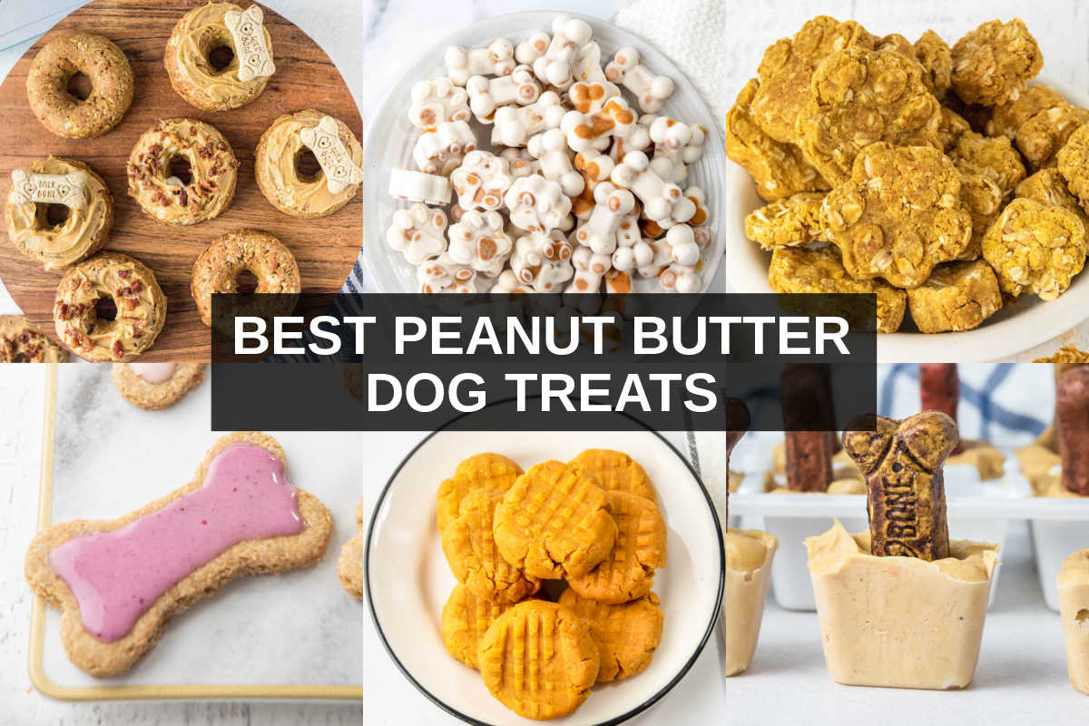 Best peanut clearance butter dog treats