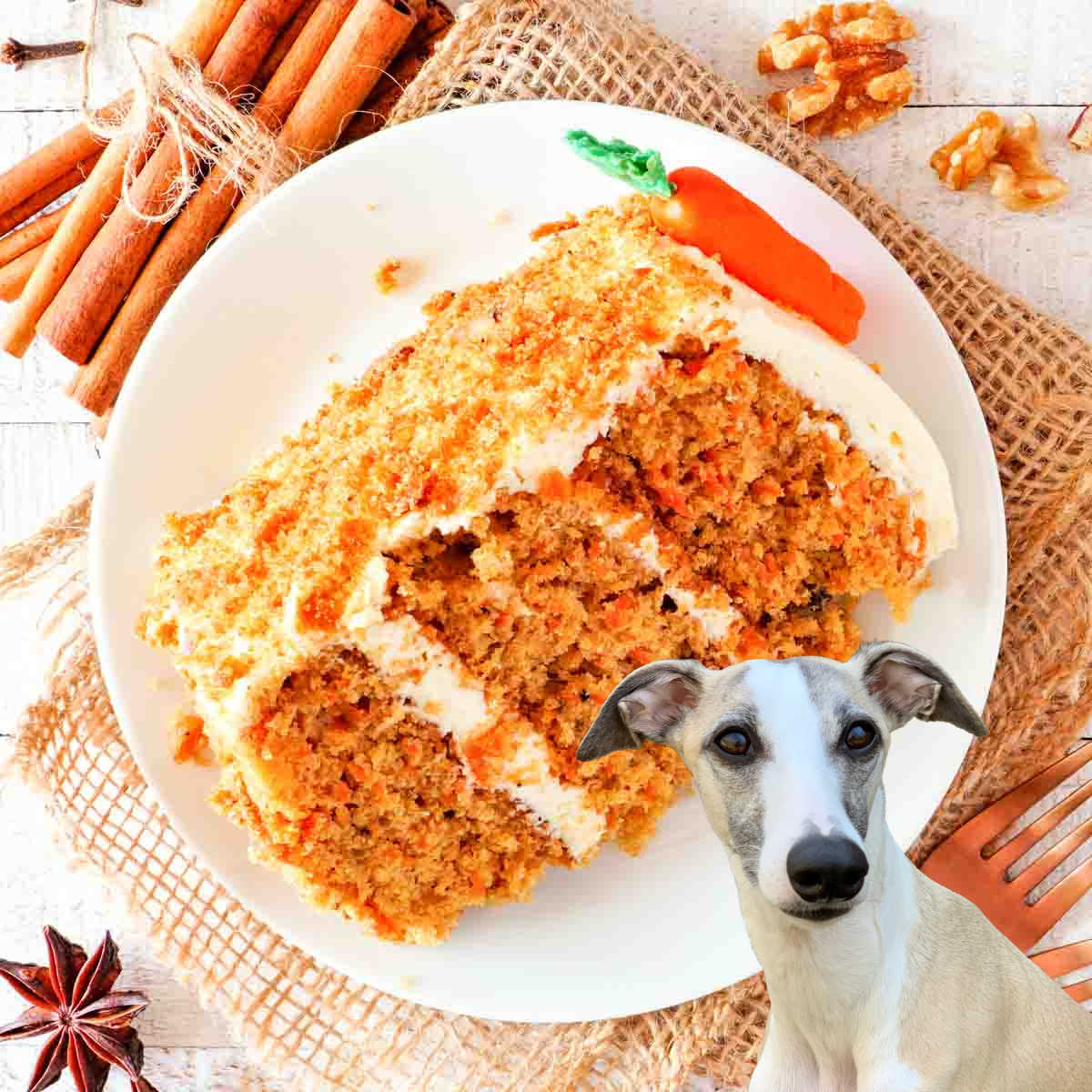 Dog in front of a carrot cake slice on a plate.