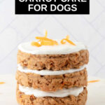 Homemade carrot layer cake for dogs with yogurt frosting.