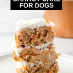 A slice of homemade carrot cake for dogs on a plate.