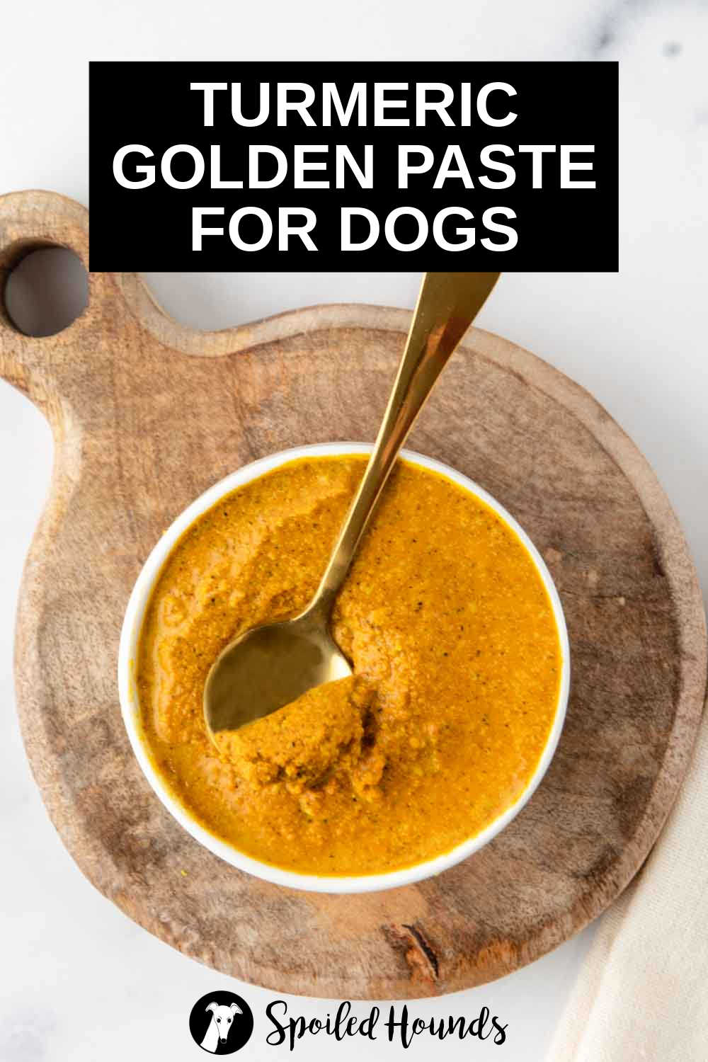 overhead view of golden paste for dogs and a spoon in a bowl.