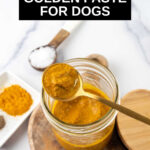 golden paste for dogs in a spoon on top of a jar of it.