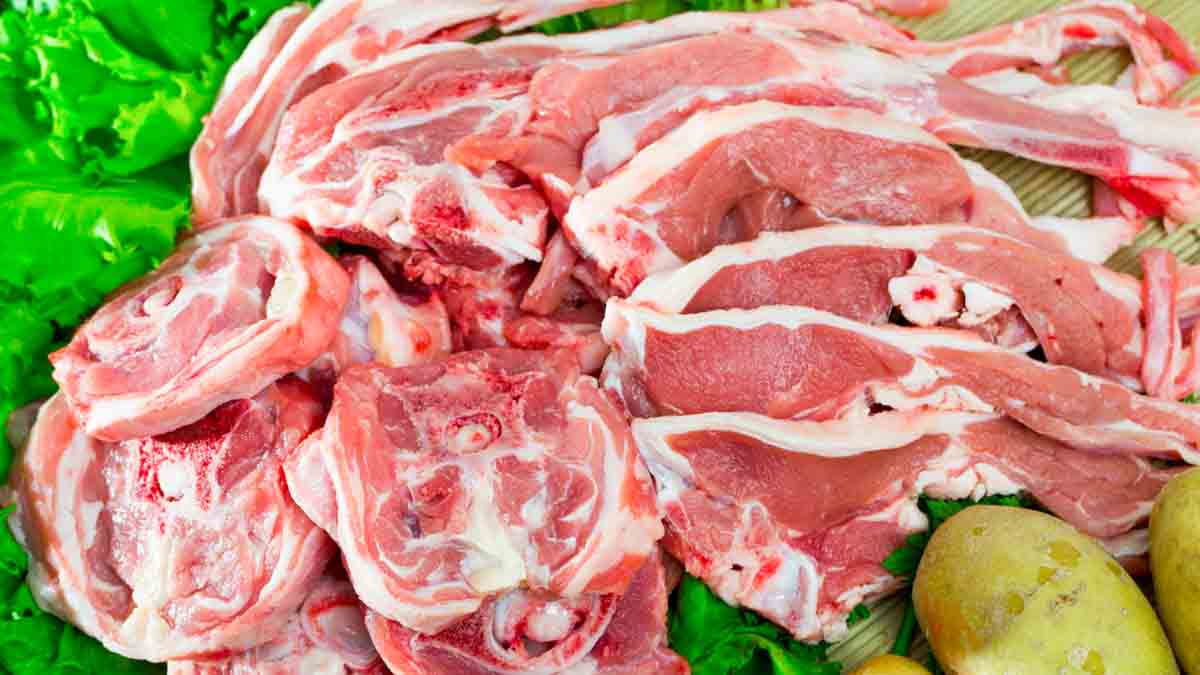 Different cuts of lamb meat.