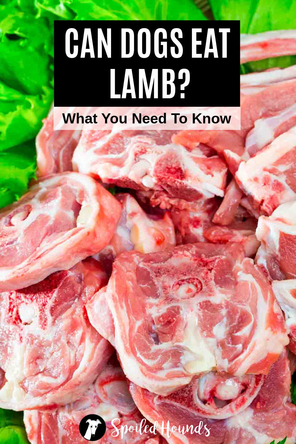 Do lamb bones clearance splinter