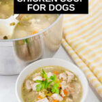 Homemade chicken soup for dogs in a pot and a bowl.