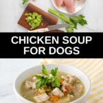 Chicken soup for dogs ingredients and a bowl of the soup.