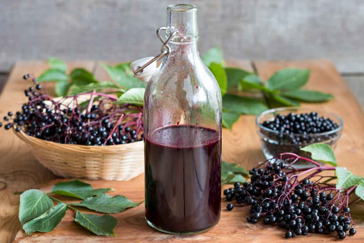 Elderberry syrup in a jar and fresh elderberries.