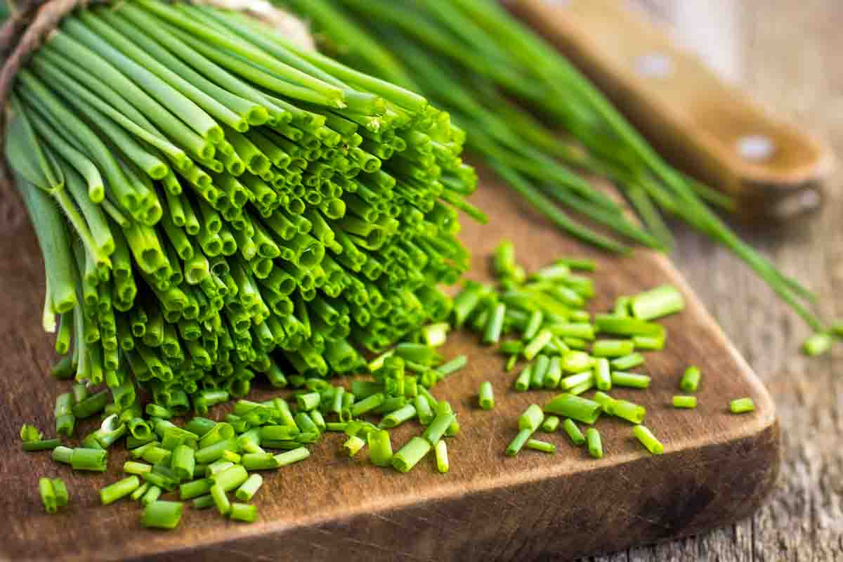 Closeup of a bunch of fresh chives on a wooden cutting board.