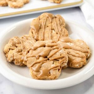 Homemade apple peanut butter dog treats with peanut butter drizzle.