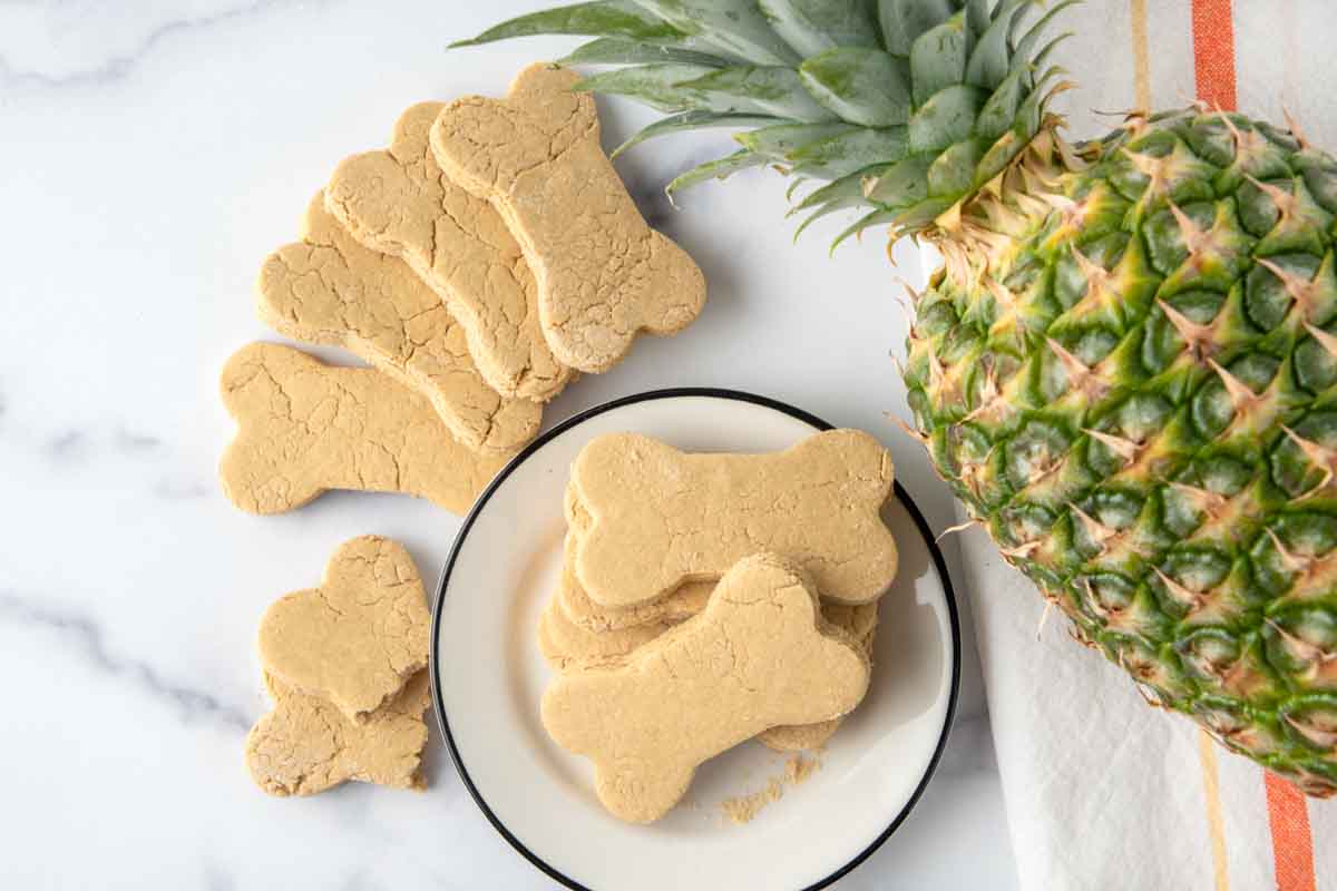 Overhead view of homemade pineapple dog treats next to a pineapple.