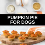 Pumpkin pie for dogs ingredients and the finished treats.