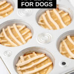 Apple pie for dogs in a muffin pan.
