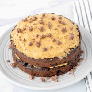 Homemade carob cake for dogs with peanut butter cream cheese frosting.