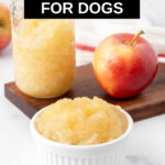 Homemade applesauce for dogs in a small bowl and jar and an apple.
