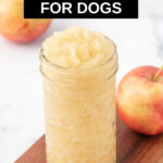 Homemade applesauce for dogs in a mason jar.
