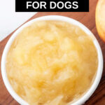 Closeup of homemade applesauce for dogs in a small white bowl.