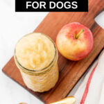 Homemade applesauce for dogs in a jar and an apple on a wood board.