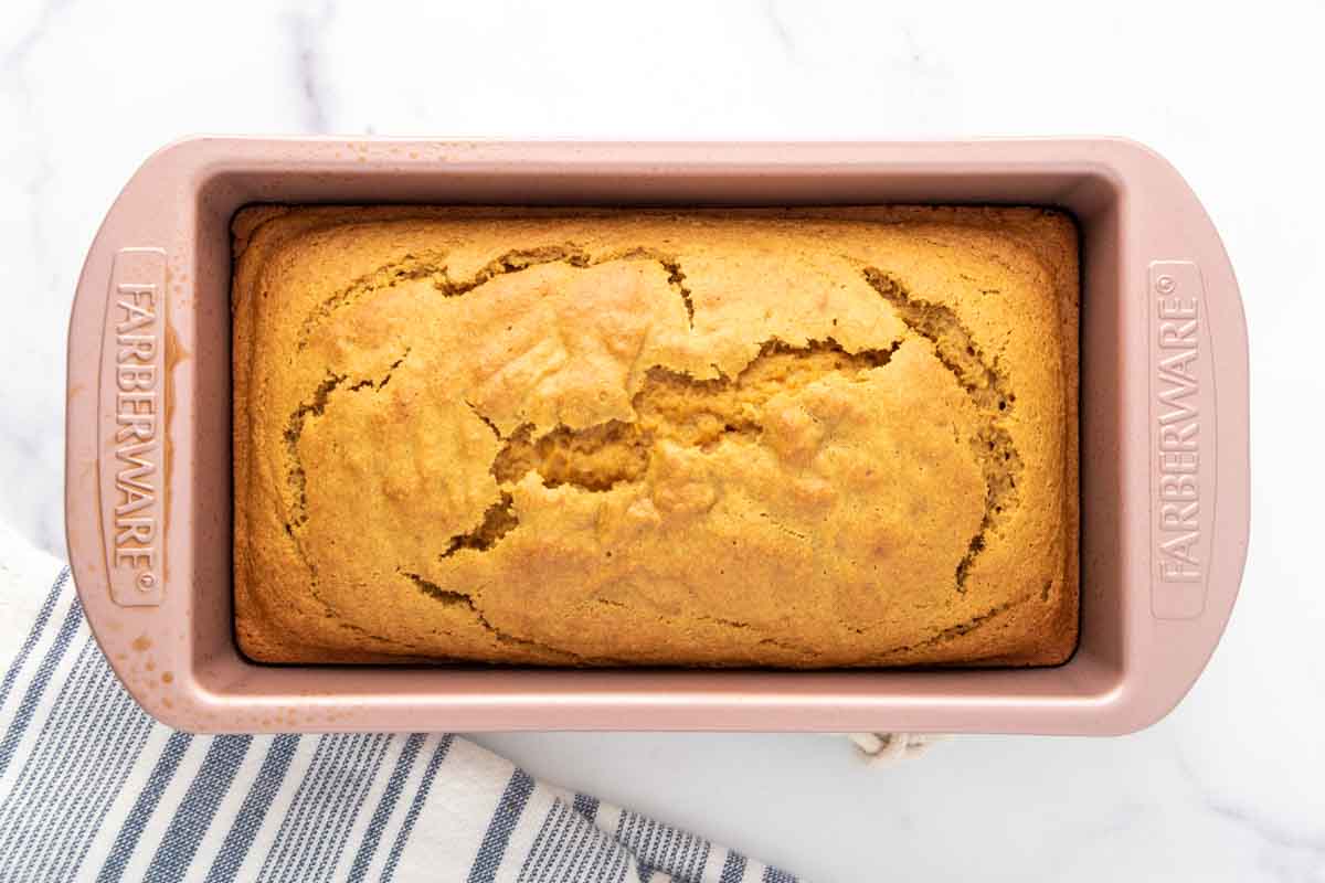 Easy Pumpkin Bread for Dogs Recipe Spoiled Hounds