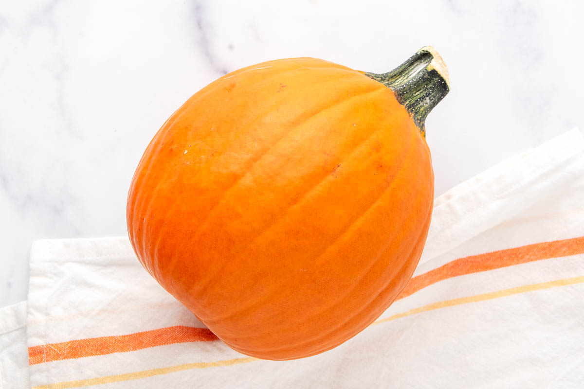 A small pumpkin and kitchen towel on a marble surface.