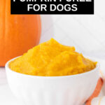 Homemade pumpkin puree for dogs in a small white bowl.