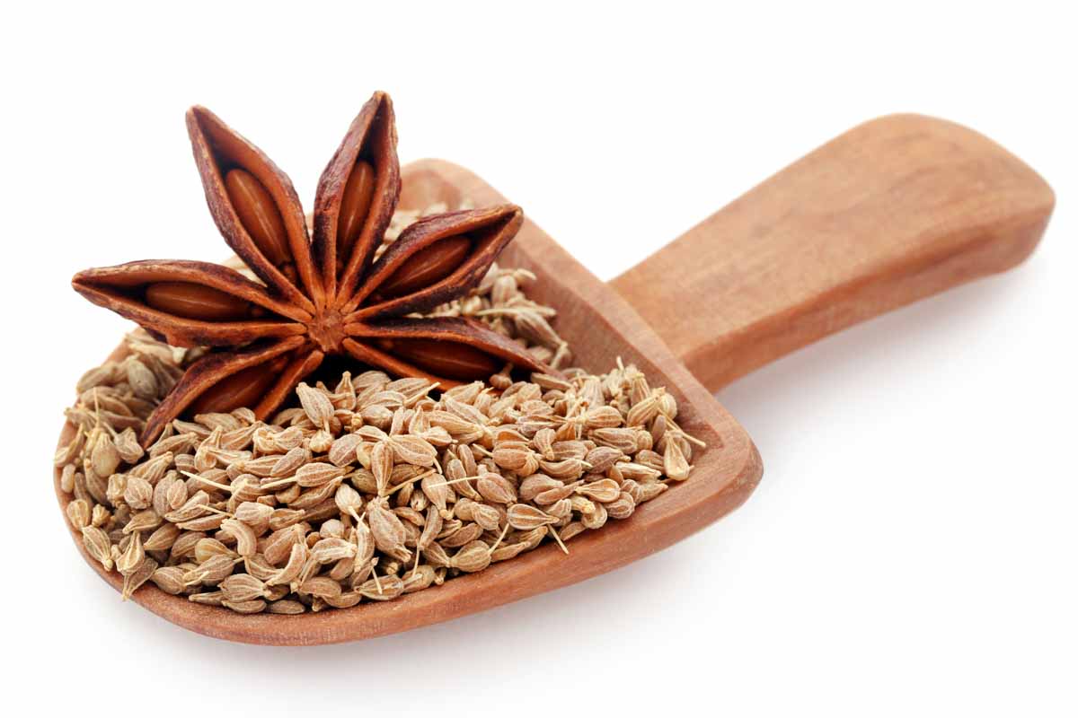 Anise seeds and star anise in a wood scoop.