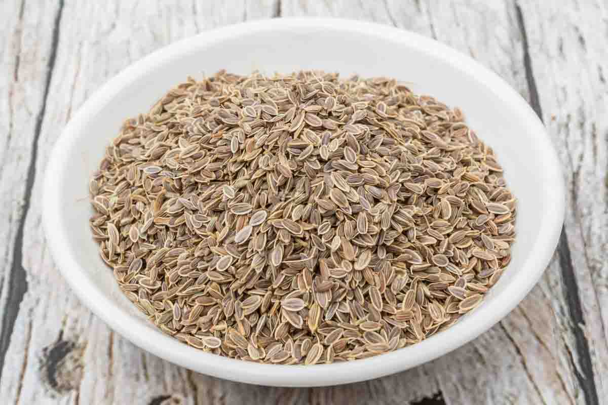 A bowl of anise seeds (aniseed).