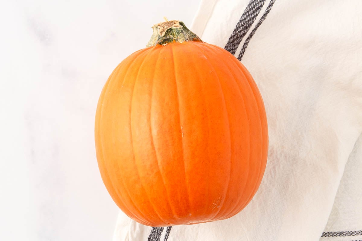 A small sugar pumpkin and a kitchen towel.