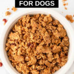 A bowl of homemade granola for dogs.