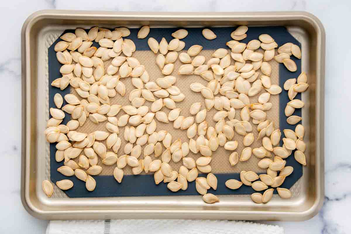 How to Prepare Pumpkin Seeds for Dogs Spoiled Hounds