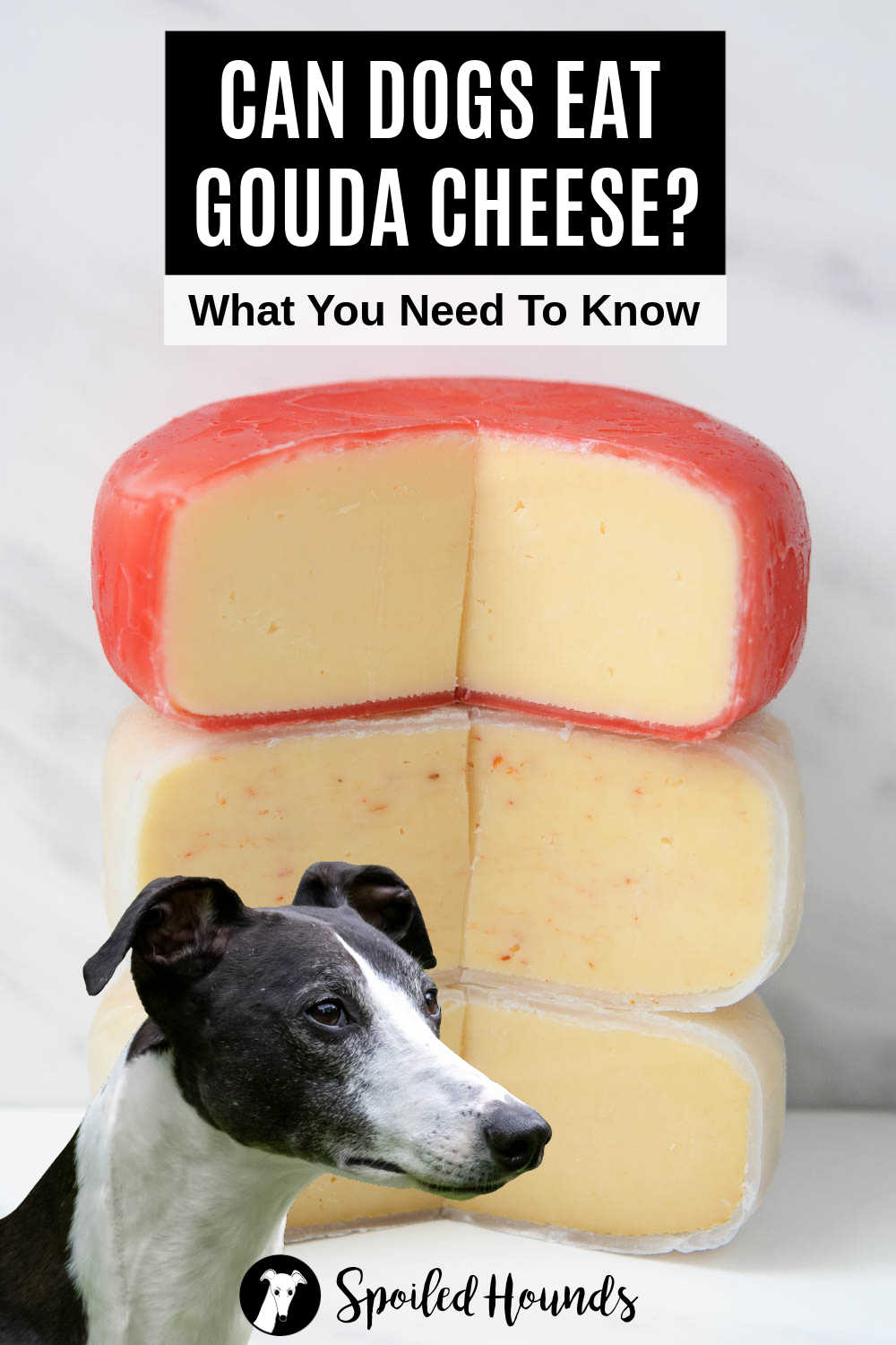 Whipped dog in front of a stack of three types of gouda cheese.