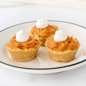 Sweet potato pie for dogs garnished with Greek yogurt.