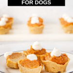 Three sweet potato pies for dogs on a plate and one cut in half.