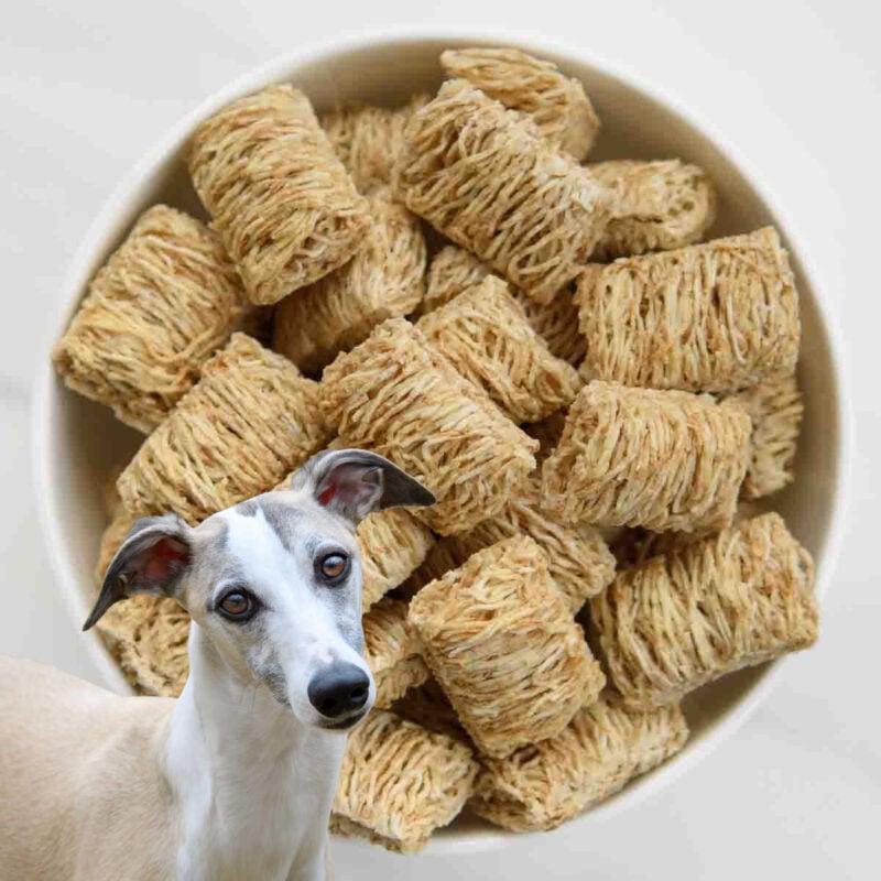 Exciting Eating Too Much Shredded Wheat Photos