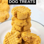 Homemade pumpkin peanut butter grain free dog treats stacked on a plate.