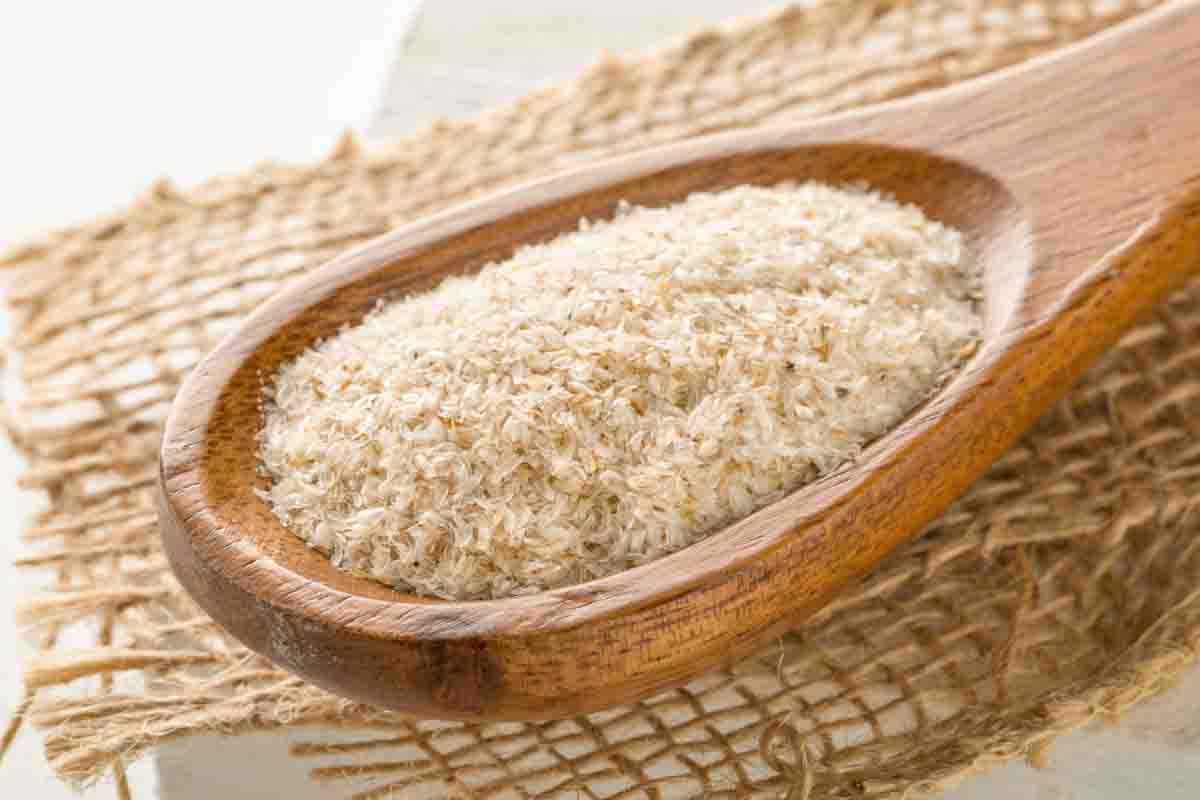 Can Dogs Eat Psyllium Husk? What You Need To Know Spoiled Hounds