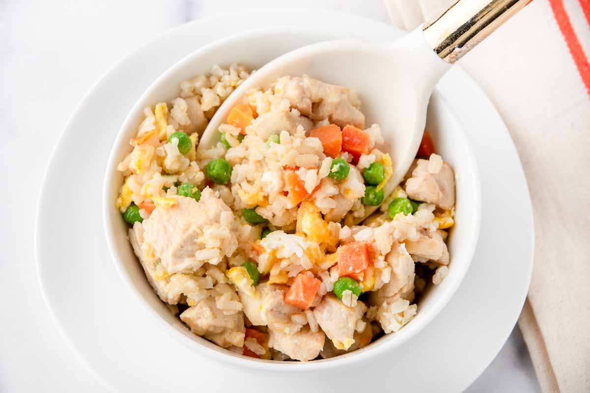 Chicken fried rice for dogs in a bowl.