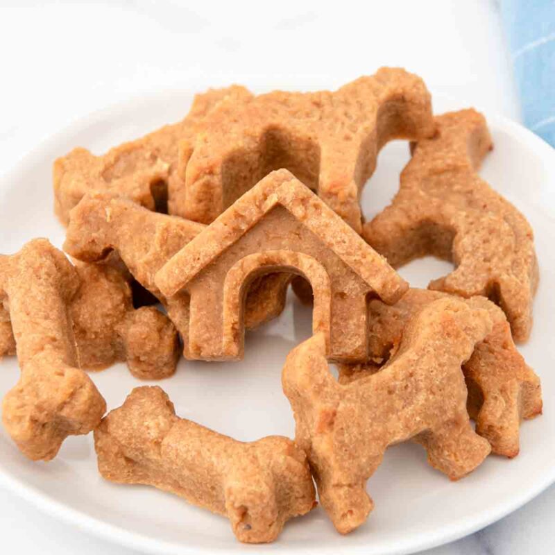 Homemade Almond Flour Dog Treats - Homemade Dog Breakfast Ideas With Almond Meal Bites