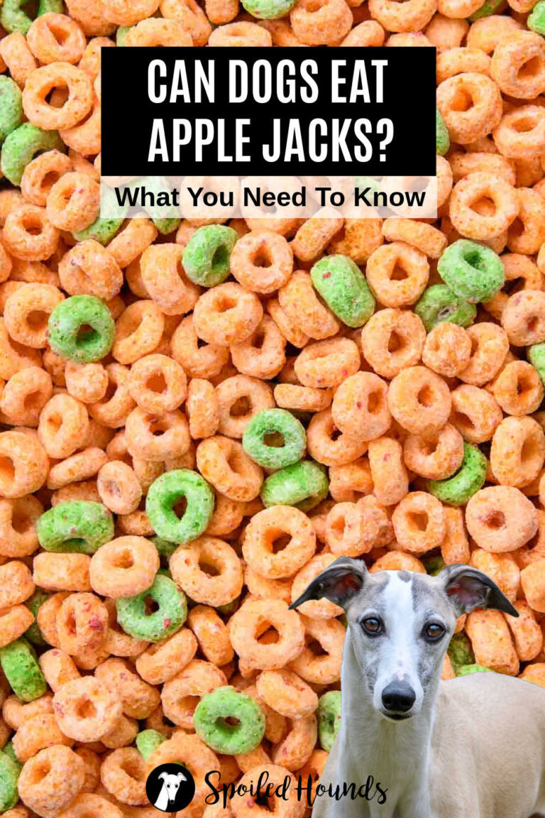 Can Dogs Eat Apples Daily With Cinnamon And Basil Reference: Can Dogs Eat Apple Jacks What You Need To Know