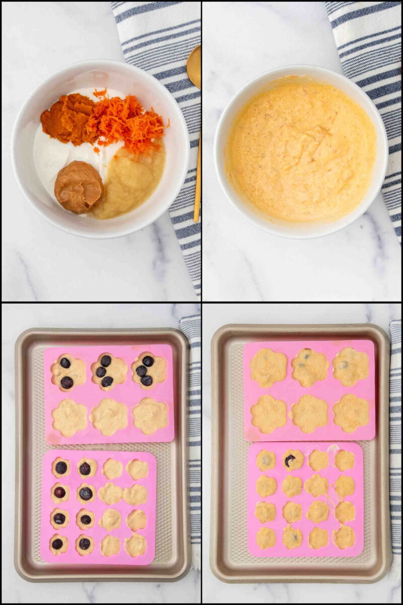 Frozen Apple Dog Treats Recipe with 3 Tasty Flavors