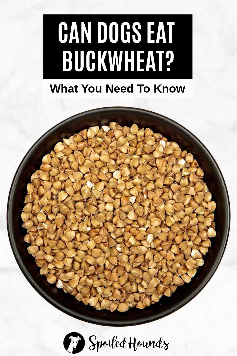 Photo inspiration: Can Dogs Eat Buckwheat What You Need To Know Photo Inspiration