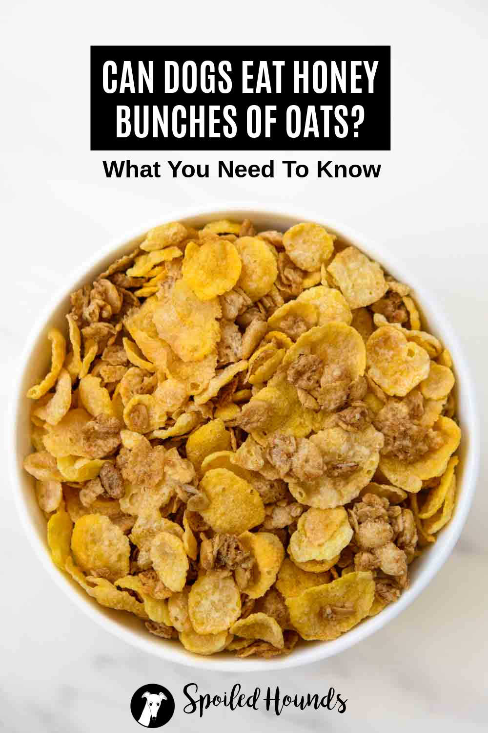 Can Dogs Eat Honey Bunches Of Oats? What You Need To Know