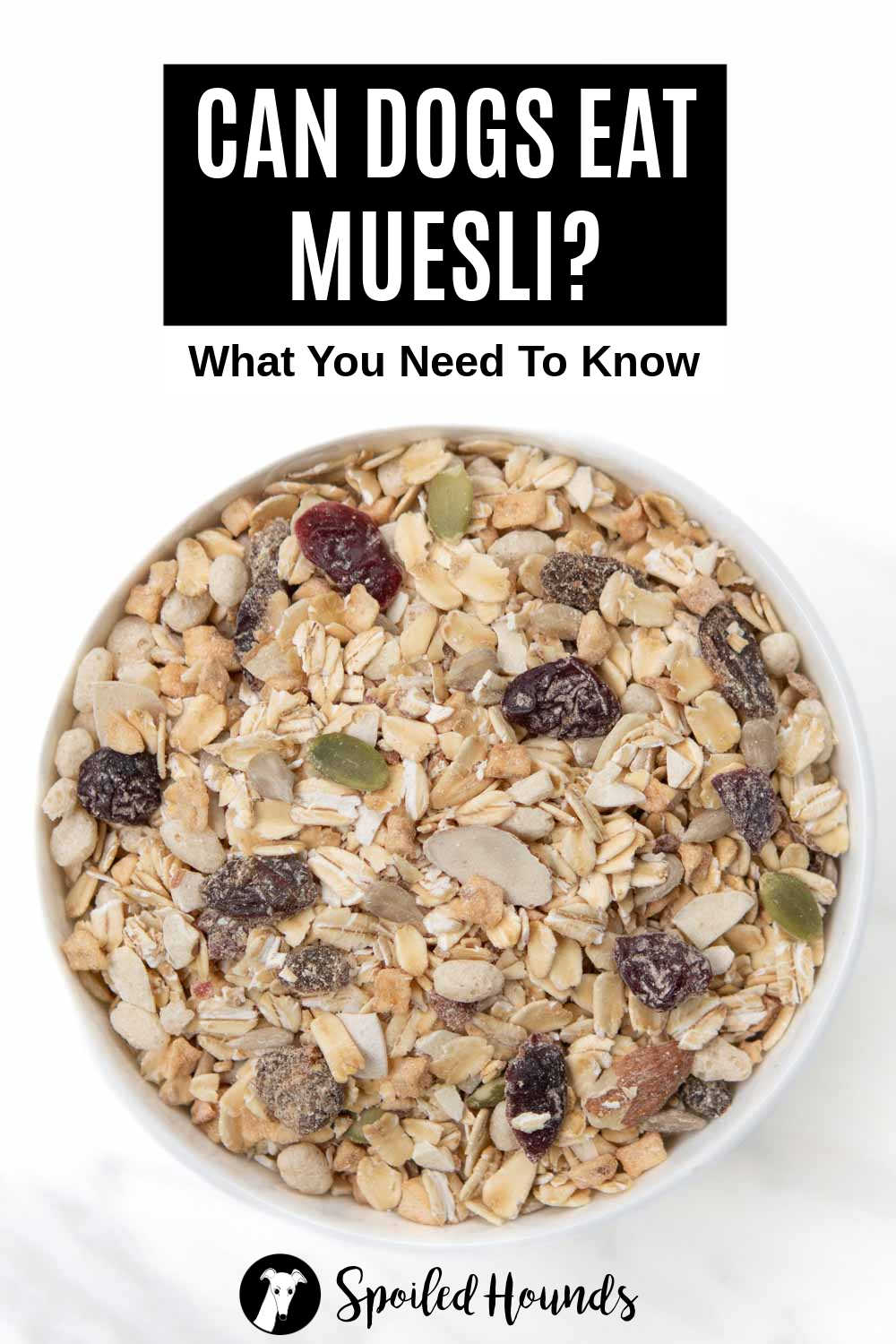 Can Dogs Eat Muesli? What You Need To Know