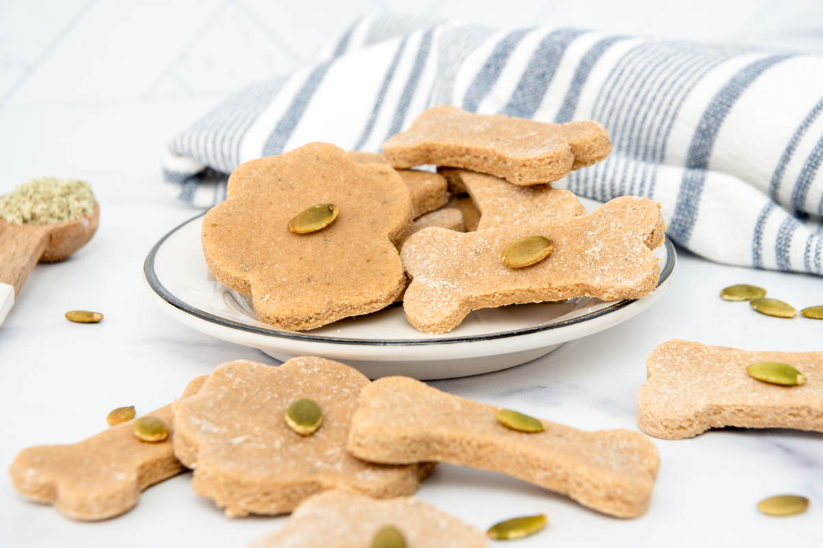 Homemade pumpkin seed dog treats on a plate and scattered around it.