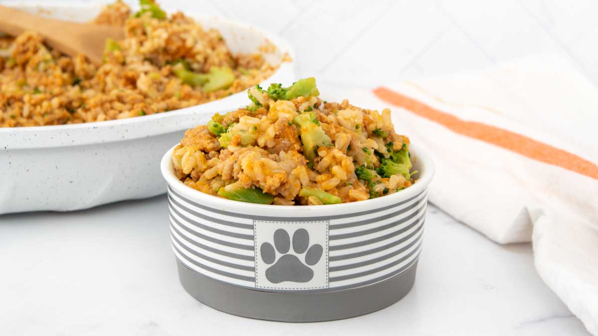 Pumpkin Dog Food