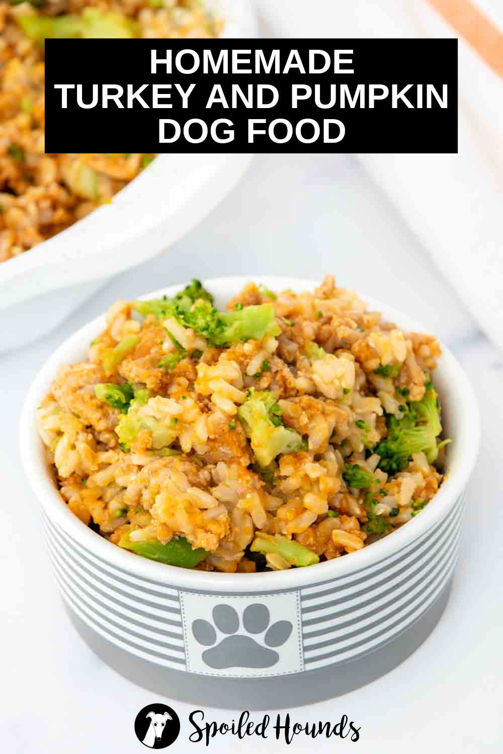 Dog Food With Quinoa And Kale And Pumpkin photo