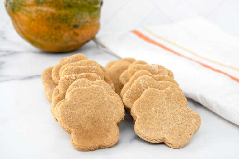 Image showcasing Acorn Squash Dog Treats